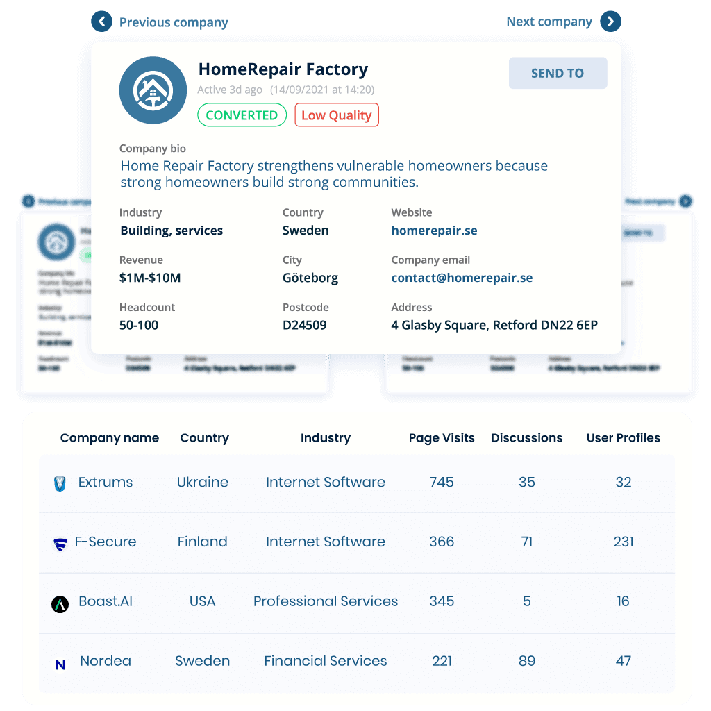 Company Identification elements option of the Conversion Insights